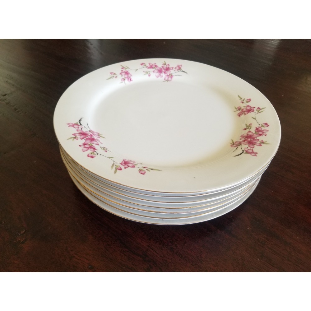 Fine China ,Cherry Blossom Pattern Gold Rim Plates (Set Of 5) , Made In China